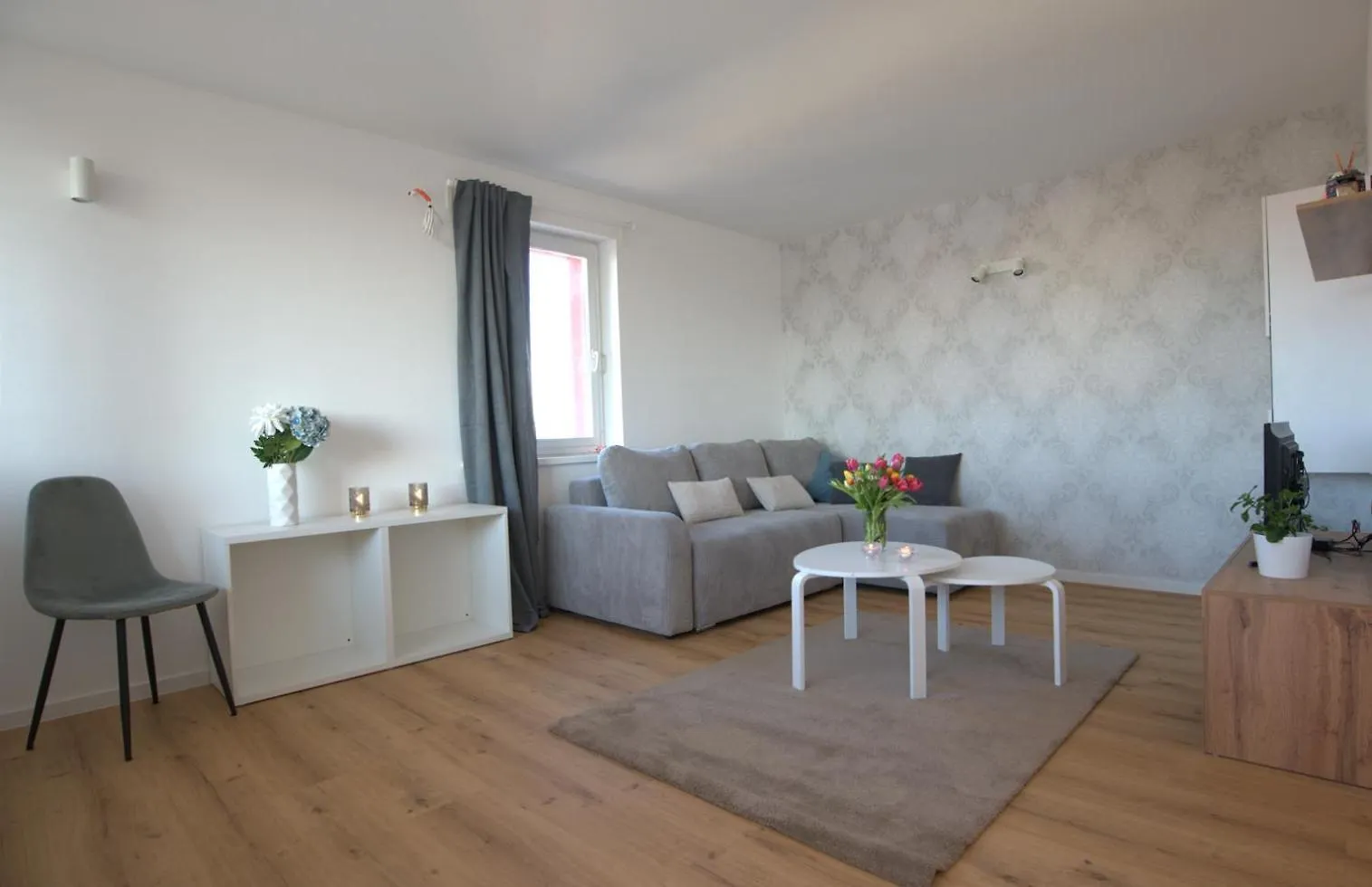 Central Elite Vista-With Parking Lubiana